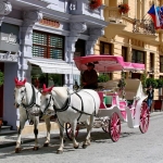 Nunta în Karlovy Vary