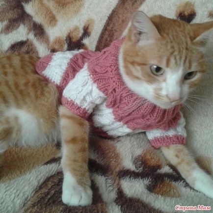 Pulover pulover (cu reparații de bug-uri) - tricotat - țara-mamă