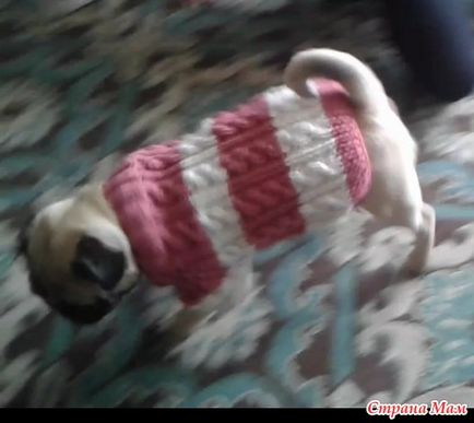 Pulover pulover (cu reparații de bug-uri) - tricotat - țara-mamă
