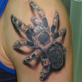 Tattoo pók (Spider Man Tattoo) pók tetoválás