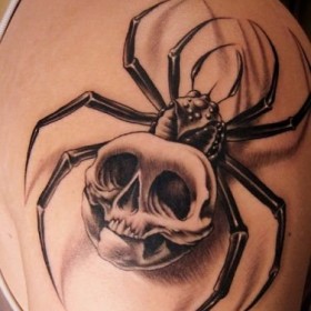 Spider Tattoo