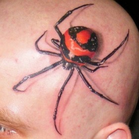 Tattoo pók (Spider Man Tattoo) pók tetoválás