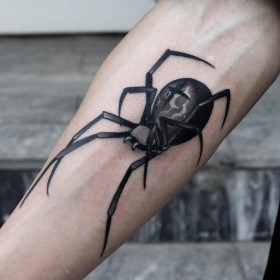 Spider Tattoo