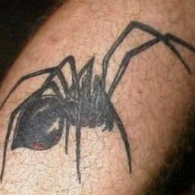 Spider Tattoo