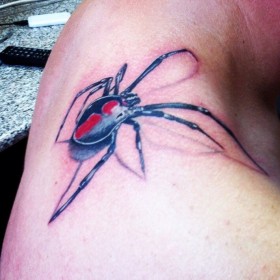 Spider Tattoo