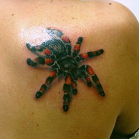 Spider Tattoo