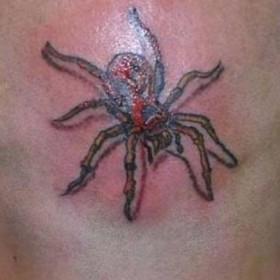 Spider Tattoo