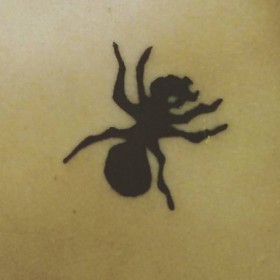 Spider Tattoo