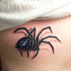 Spider Tattoo