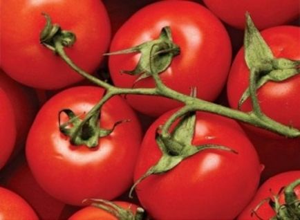 Secretele de tomate în creștere