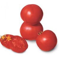 Tomato donald f1 (donald f1), cumpăra semințe de roșii donald f1 nunemus hollandia, preț ukraine