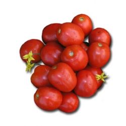 Tomato donald f1 (donald f1), cumpăra semințe de roșii donald f1 nunemus hollandia, preț ukraine