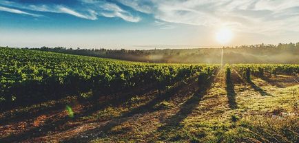 Toscana (Italia) a orașului, fotografie, totul despre Toscana