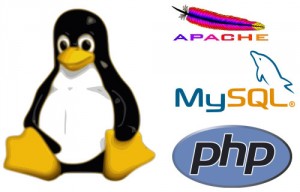Ubuntu, instalarea și configurarea lămpii (apache, mysql, php), blog