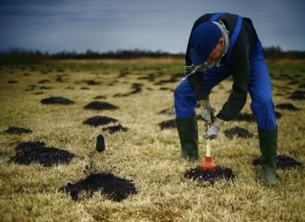 Знищення і обробка від кротів дачної ділянки