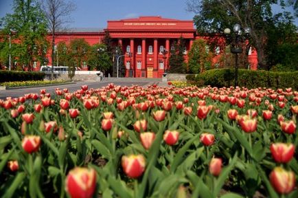 Universitatea din Taras Shevchenko, unde să meargă, ce să văd, unde să se odihnească la Kiev