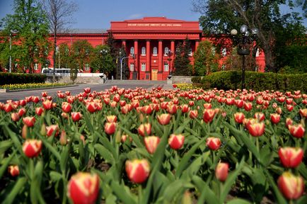 Університет тараса шевченка, куди піти, що подивитися, де відпочити в киеве