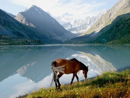 Munții Ural, munte Altai fotografie, imagini, video