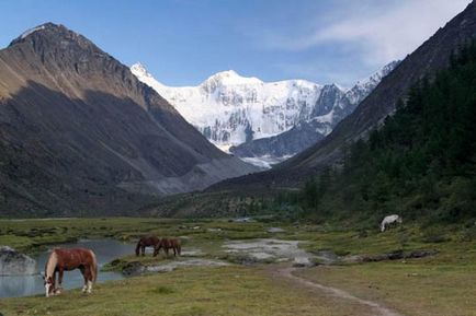 Уральські гори, гірський Алтай фото, картинки, відео