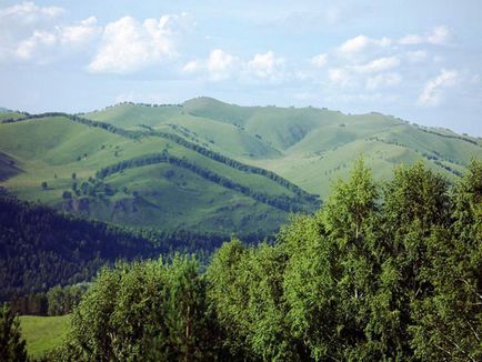 Munții Ural, munte Altai fotografie, imagini, video