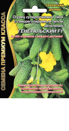 Уральський дачник, насіння - огірок суперпучкового типу з саморегульованим типом розгалуження
