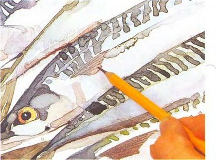 Lecție - cum să desenezi un pește în etapa de acuarelă