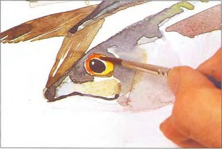 Урок - як намалювати рибу аквареллю поетапно