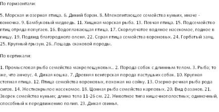 Урок - кейс «професія ветеринар» - портал для сучасних жінок