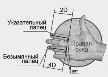 Nivelul de testosteron și lungimea degetelor