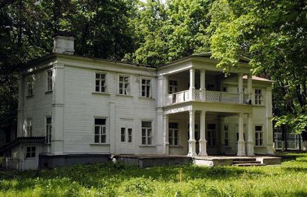 Manor Stroganoff a Bratsevo irányban, leírás, történelem