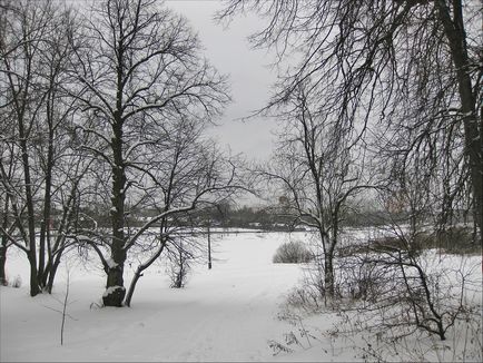 Mananca viță, pe un iaz lung