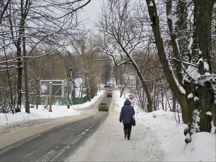 Садиба виноградово, що на довгому ставку