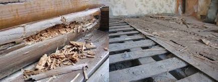 Види дерев'яних конструкцій, що застосовуються в будівництві