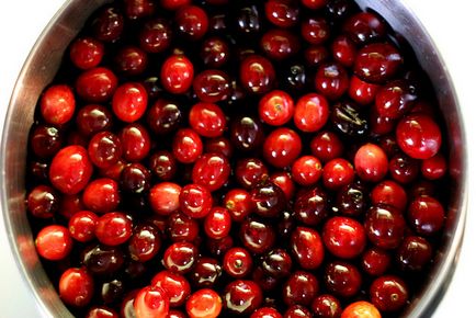 Cranberries nőnek a kertben - a kert és a kert