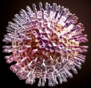 Herpes simplex virus clinica și tratament, toate despre medicină