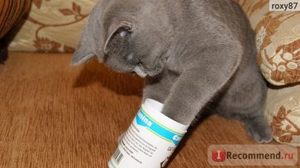 Вітаміни canina для кішок cat-vitamin tabs - «натуральні вітаміни для кішок! Мій дуже задоволений,