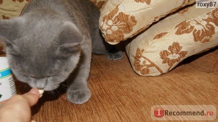 Вітаміни canina для кішок cat-vitamin tabs - «натуральні вітаміни для кішок! Мій дуже задоволений,