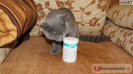 Вітаміни canina для кішок cat-vitamin tabs - «натуральні вітаміни для кішок! Мій дуже задоволений,