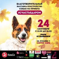 Expoziția mondială de câine pentru show-dog 2016 și-a încheiat activitatea la Moscova