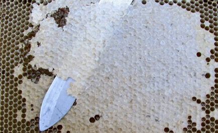 Wax (60 fotó) használata méhészeti termékek a hagyományos orvoslás, a használata arc és a haj