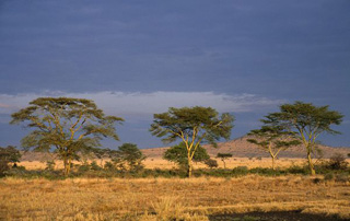 Sezoanele, vremea și clima din Africa de Nord