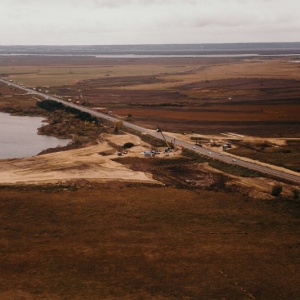 În Rusia, manul de pisici ar fi rănit trei hoți