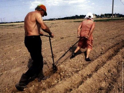 Ásni a föld az országban, különösen ásatás a nyaraló, mint eke, fotó és videó