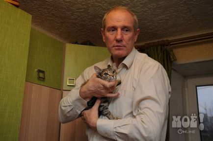 În Voroneț trăiește o pisică cu trei urechi
