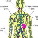 Chimioterapia nu este un panaceu pentru cancer