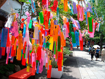 Festivalul japonez tradițional de tanabata • yumenohikari