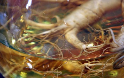 Ginseng, Cordyceps cumpăra, descriere, prețuri, rețete