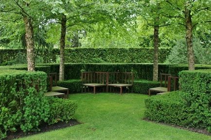 Hedges și grădini verzi în design peisagistic, fotografii de camere verzi din plante