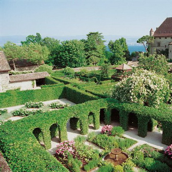 Hedges și grădini verzi în design peisagistic, fotografii de camere verzi din plante