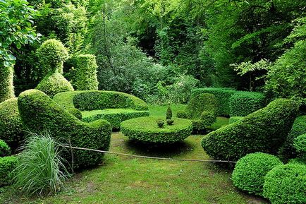 Живоплоти і зелені кімнати саду в ландшафтному дизайні, фото зелених кімнат з рослин